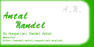 antal mandel business card